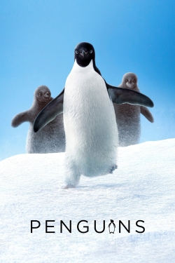 Watch Free Penguins Movies Full HD Online