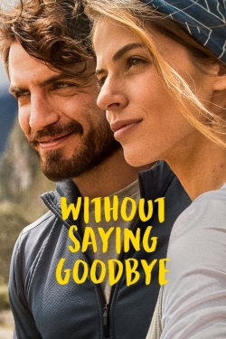 Watch Free Without Saying Goodbye Movies Full HD Online