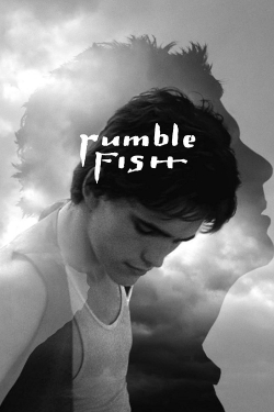 Watch Free Rumble Fish Movies Full HD Online