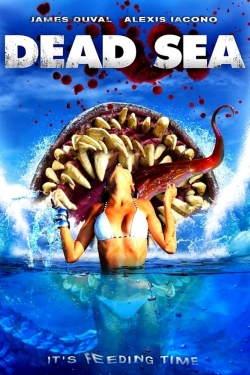 Watch Free Dead Sea Movies Full HD Online