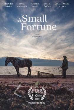 Watch Free A Small Fortune Movies Full HD Online