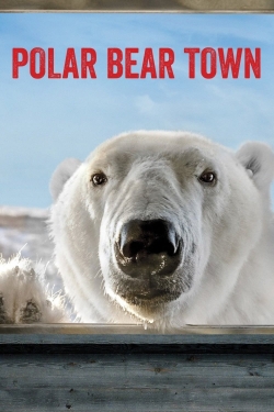 Watch Free Polar Bear Town Movies Full HD Online